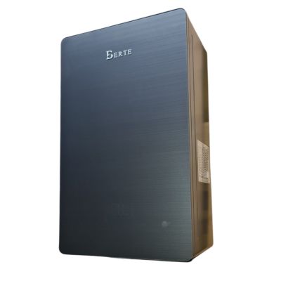 Газовий конденсаційний котел Berte Gray 24 кВт Газовий конденсаційний котел Berte Gray 24 кВт