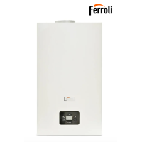 Газовый котел Ferroli Diva D F24