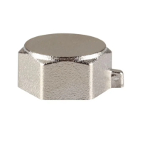 Заглушка В Reiger - 1/2" (никель) Заглушка В Reiger - 1/2" (никель)