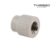 Муфта Thermo Alliance різьблення внутрішнє МРВ D25*3/4"