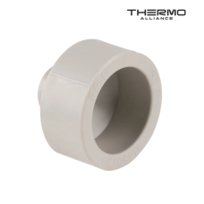 Муфта редукционная В/В Thermo Alliance D50*25