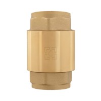 Обратный клапан Raftec EUROPE DN25 1" (NRVF03)