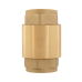 Обратный клапан Raftec EUROPE DN25 1" (NRVF03)