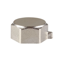 Заглушка В Reiger - 1/2" (нікель)